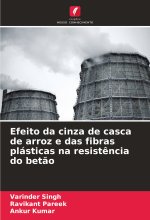Efeito da cinza de casca de arroz e das fibras plásticas na resist?ncia do bet?o