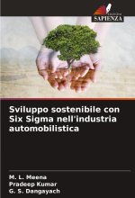 Sviluppo sostenibile con Six Sigma nell'industria automobilistica