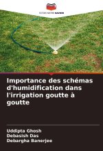 Importance des schémas d'humidification dans l'irrigation goutte ? goutte