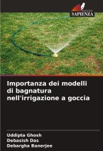 Importanza dei modelli di bagnatura nell'irrigazione a goccia