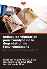 Indices de végétation pour l'analyse de la dégradation de l'environnement