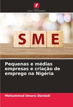Pequenas e médias empresas e criaç?o de emprego na Nigéria