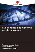 Sur la route des histones au chromosome