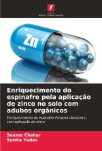 Enriquecimento do espinafre pela aplicaç?o de zinco no solo com adubos orgânicos