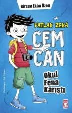 Patlak Zeka Cemcan