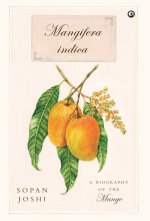 Mangifera indica