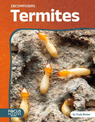 Termites