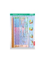 Karta edukacyjna. Geografia - dzieje geologiczne, dzieje życia