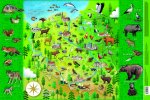 Podkładka mapa Polski zwierzątka. Mappuzzle JUNIOR