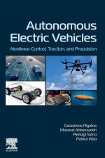 Autonomous Electric Vehicles