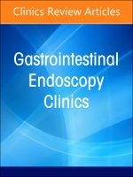 Updates on Endoscopic Diagnosis in IBD: from White Light to Molecular Imaging, An Issue of Gastrointestinal Endoscopy Clinics