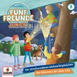 Folge 8: Die verschwundenen Weihnachtspäckchen/Das