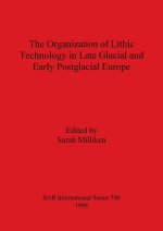 Organization of Lithic Technology in Late Glacial and Early Postglacial Europe