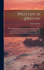Wild Life in Oregon: Being a Stirring Recital of Actual Scenes of Daring and Peril Among the Gigantic Forests and Terrific Rapids of the Co