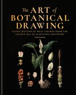 The Art of Botanical Drawing