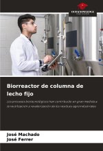 Biorreactor de columna de lecho fijo