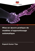 Mise en ?uvre pratique de mod?les d'apprentissage automatique
