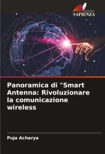 Panoramica di 