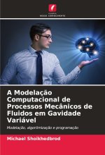A Modelaç?o Computacional de Processos Mecânicos de Fluidos em Gavidade Variável