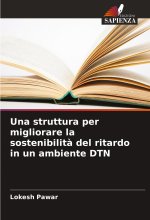Una struttura per migliorare la sostenibilit? del ritardo in un ambiente DTN