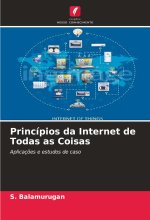 Princípios da Internet de Todas as Coisas