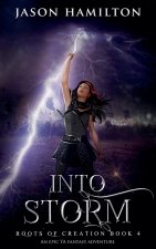 Into Storm