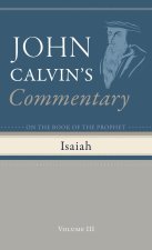 Commentary on the Book of the Prophet Isaiah, Volume 3