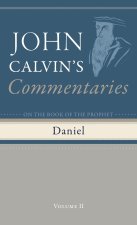 Commentaries on the Book of the Prophet Daniel, Volume 2