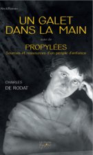 Un galet dans la main