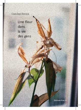 Une fleur dans la vie des gens