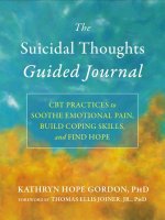 The Suicidal Thoughts Guided Journal