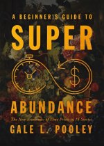 A Beginner's Guide to Superabundance