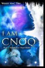 I am Cnoq - Eine ungewöhnliche Erzählung über die Suche nach  Klarheit, Wahrheit, Wirklichkeit