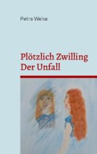 Plötzlich Zwilling / Der Unfall
