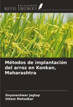 Métodos de implantación del arroz en Konkan, Maharashtra