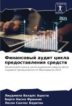 Finansowyj audit cikla predostawleniq sredstw