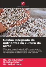 Gest?o integrada de nutrientes na cultura do arroz