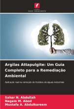 Argilas Attapulgite: Um Guia Completo para a Remediaç?o Ambiental