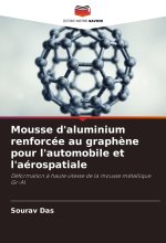 Mousse d'aluminium renforcée au graph?ne pour l'automobile et l'aérospatiale