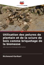 Utilisation des pelures de plantain et de la sciure de bois comme briquetage de la biomasse