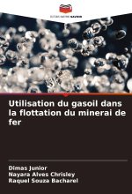 Utilisation du gasoil dans la flottation du minerai de fer