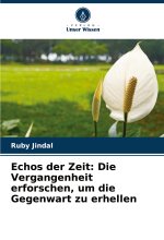 Echos der Zeit: Die Vergangenheit erforschen, um die Gegenwart zu erhellen