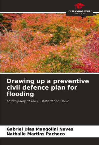 Drawing up a preventive civil defence plan for flooding