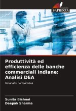 Produttivit? ed efficienza delle banche commerciali indiane: Analisi DEA