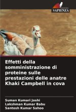 Effetti della somministrazione di proteine sulle prestazioni delle anatre Khaki Campbell in cova