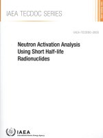 A Neutron Activation Analysis Using Short Half-Life Radionuclides