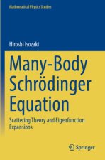 Many-Body Schrödinger Equation
