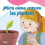 ?Mira Cómo Crecen Las Plantas!