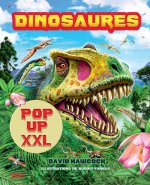 Dinosaures pop-up XXL - Nouvelle édition