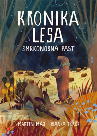 Kronika lesa: Smrkonosnďż˝ past